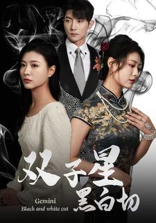 双子星黑白切（82集）看到大结局