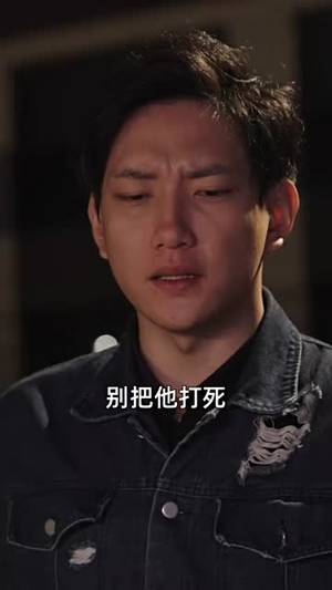 新版：镇国龙帅（102集）追短剧关注我