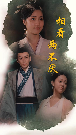 相看两不厌（85集）正能量短剧分享