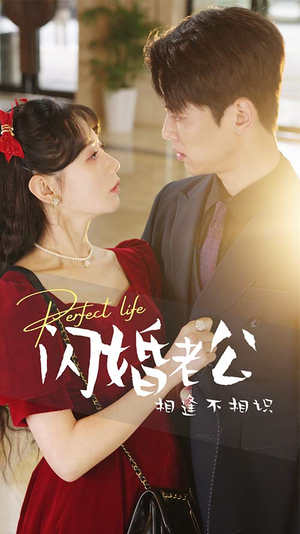 闪婚老公相逢不相识（90集）经典回顾免费看