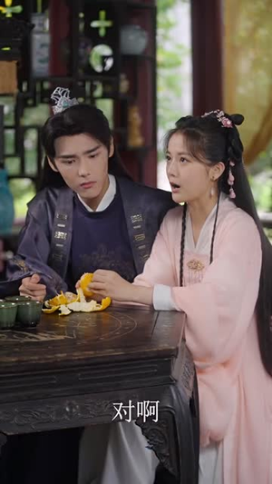 霸道王爷的丫鬟娇妻（88集）短剧太好看