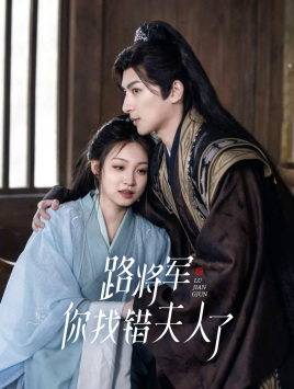 路将军，你找错夫人了（81集）评价怎么样