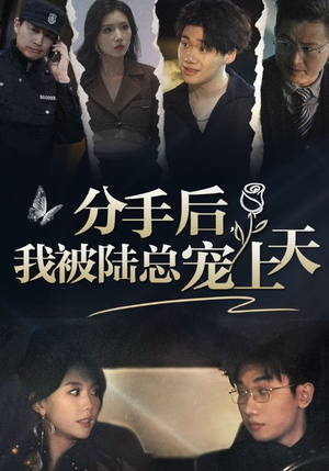 分手后，我被陆总宠上天（76集）精彩短剧免费看