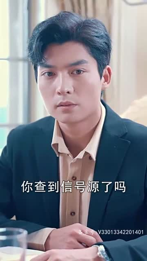 今时重逢不相逢（100集）在线观看完整版