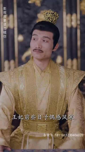 权宠医妃（94集）新短剧推荐