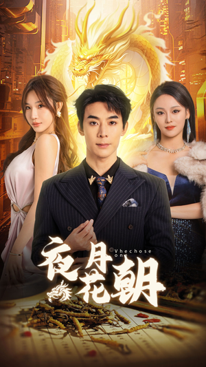 夜月花朝（30集）观看软件