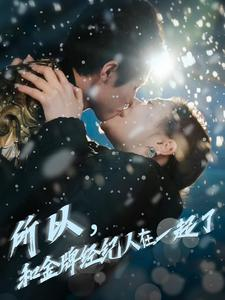 所以和金牌经纪人在一起了（30集）解说