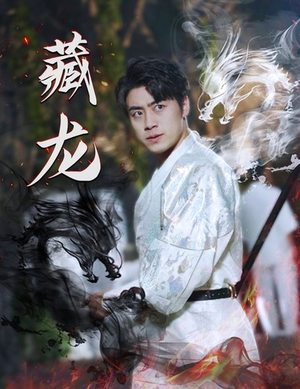 藏龙（74集）最新上映的短剧