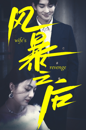 风暴之后（80集）看到大结局