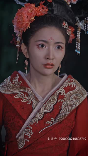 不负昭华（52集）网盘在线观看