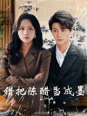 错把陈醋当成墨（29集）热门火爆短剧