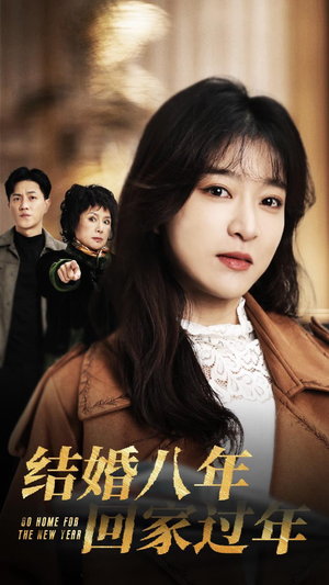 结婚八年回家过年（30集）爱上了这部剧了