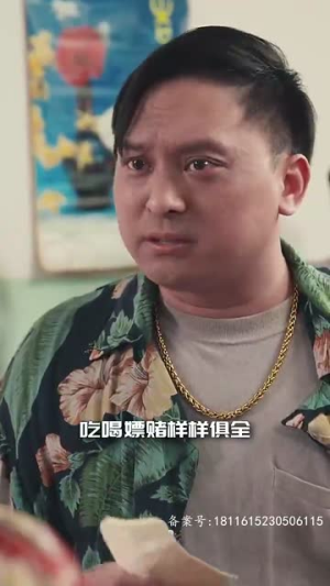 重生1992之完美人生（93集）热门短剧推广