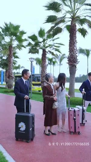 离婚后高傲前妻悔恨终身（77集）在哪个平台看好