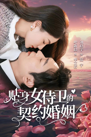 贴身女侍卫的契约婚姻（91集）在线看