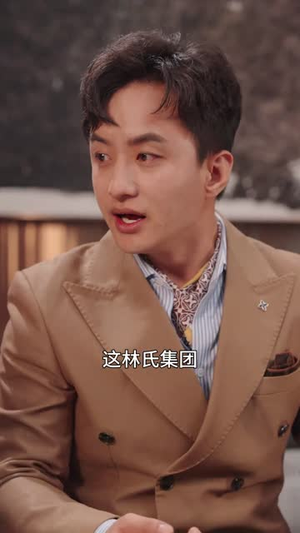 镇龙（98集）热播短剧分享