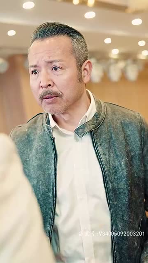 独霸天下（100集）免费看全集