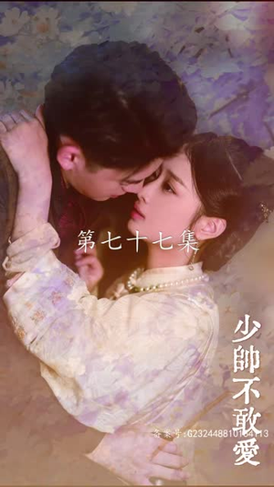 少帅不敢爱（80集）一起追短剧