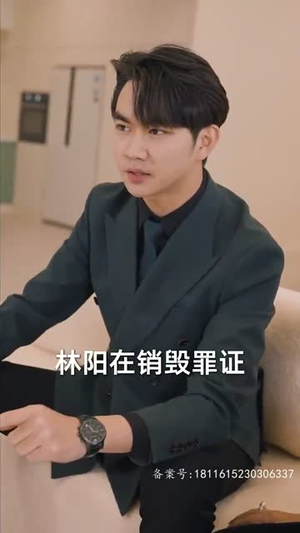 锦龙（82集）热门爆款短剧