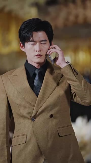 彩礼谈崩后，闪婚神秘首富（96集）在哪里可以看