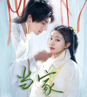 傻子王爷娇宠妃&当家（50集）最新火爆短剧