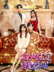 命中注定我爱你（99集）免费版