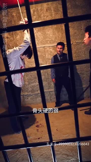 重回港岛当大佬（80集）最新上映的短剧