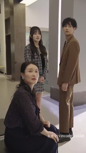 许总的秘密恋人（80集）短剧全集免费