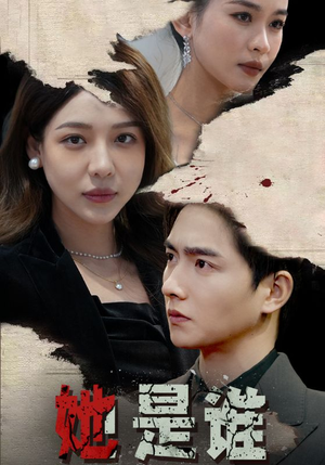 她是谁（79集）免费看全集