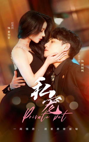 私宠（94集）精彩短剧上线