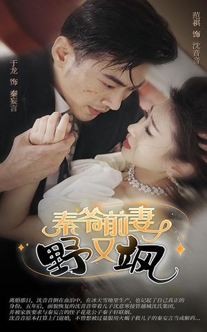 秦爷前妻野又飒（100集）在线观看全集