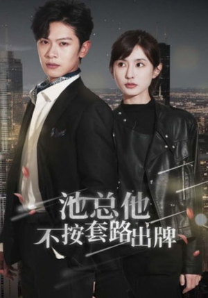 池总他不按套路出牌（100集）一起追短剧