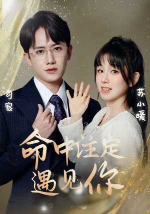 命中注定遇见你（96集）精彩短剧天天看