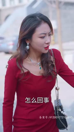 世仁之重回巅峰（91集）短剧分享剧集