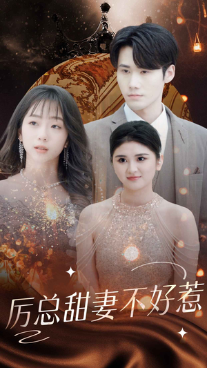 历总前妻不好惹（75集）海量短剧免费看