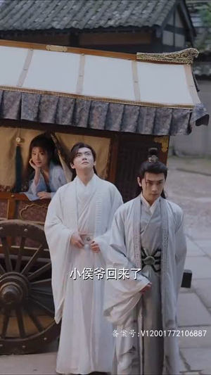 和离后，我成了太子白月光（74集）全部免费看全集