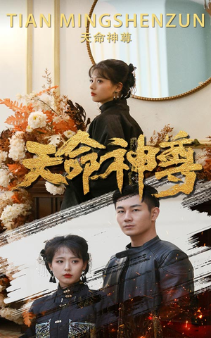 天命神尊（102集）超好看古装短剧