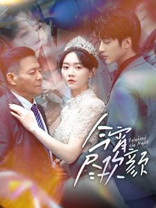 今宵尽欢颜（99集）新短剧推荐