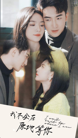 我不会在原地等你（48集）短剧全集大结局