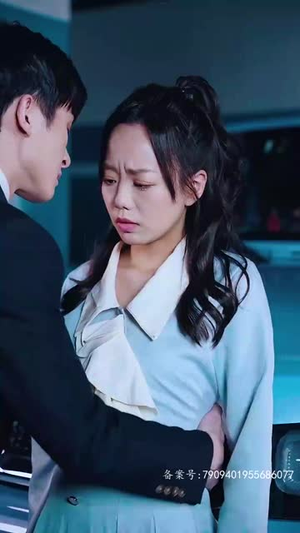 真假爱人（100集）去哪里看