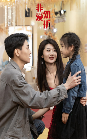 非爱勿扰（92集）原创精彩短剧