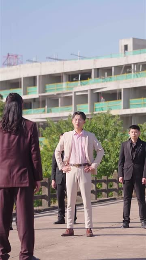 龙之子（100集）抢先看新短剧