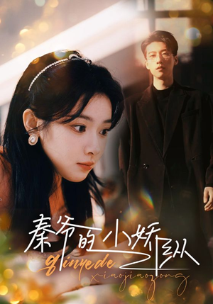 秦爷的小娇纵（96集）热播短剧排行榜