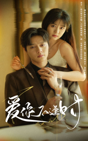 爱你不逢时（91集）热门短剧排行榜