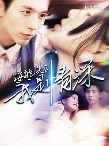 安能知我是情深（120集）高清画质免费看