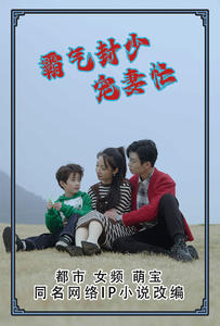 霸气封少宠妻忙（80集）一共多少集