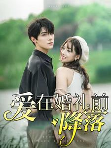 爱在婚礼前降落（50集）爱上了这部剧了