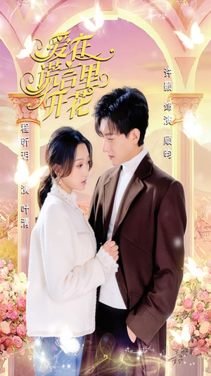 爱在谎言里开花（80集）独家资源免费看