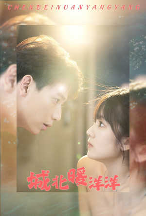 城北暖洋洋（60集）每日短剧分享