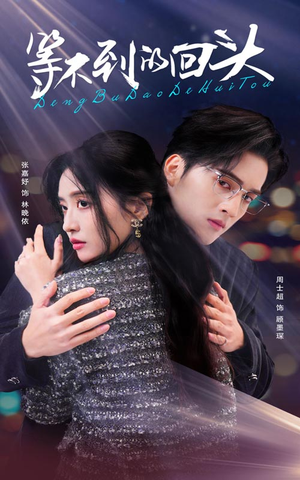 等不到的回头（35集）一起追短剧